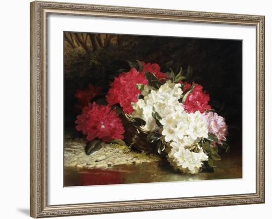 Azaleas-John Fitz Marshall-Framed Giclee Print