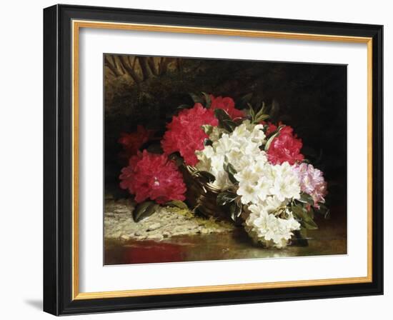 Azaleas-John Fitz Marshall-Framed Giclee Print