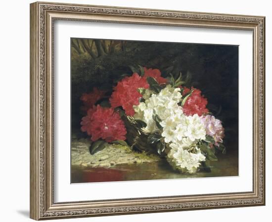 Azaleas-John Fitzmarshall-Framed Giclee Print