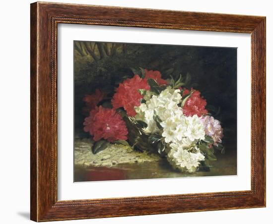 Azaleas-John Fitzmarshall-Framed Giclee Print