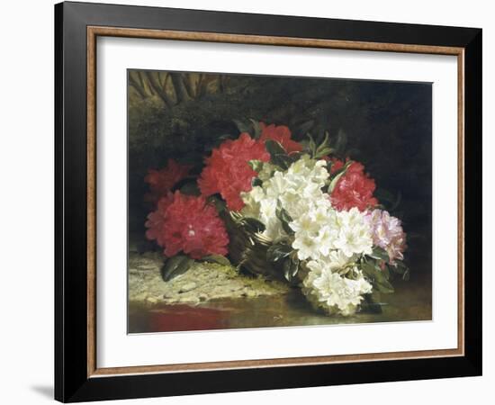 Azaleas-John Fitzmarshall-Framed Giclee Print