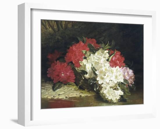 Azaleas-John Fitzmarshall-Framed Giclee Print