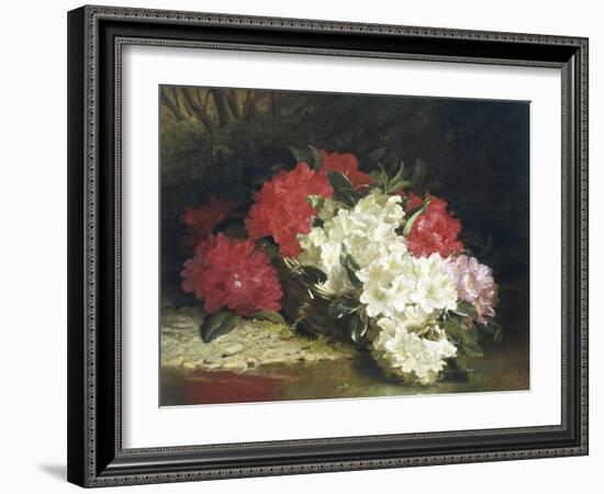 Azaleas-John Fitzmarshall-Framed Giclee Print