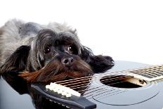 Portrait of A Dog with A Guitar-AZALIA-Photographic Print