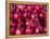 Azerbaijan, Baku, Ticaret Market, Pomegranate-Jane Sweeney-Framed Premier Image Canvas