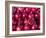 Azerbaijan, Baku, Ticaret Market, Pomegranate-Jane Sweeney-Framed Photographic Print