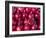 Azerbaijan, Baku, Ticaret Market, Pomegranate-Jane Sweeney-Framed Photographic Print