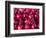 Azerbaijan, Baku, Ticaret Market, Pomegranate-Jane Sweeney-Framed Photographic Print