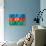 Azerbaijani Flag-daboost-Premium Giclee Print displayed on a wall