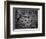 Aztec calendar stone, Mexico, Late Postclassic period, c1200-1521-Werner Forman-Framed Photographic Print