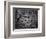 Aztec calendar stone, Mexico, Late Postclassic period, c1200-1521-Werner Forman-Framed Photographic Print