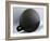 Aztec obsidian smoking mirror, Mexico-Werner Forman-Framed Photographic Print