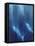 Azul Profundo Triptych I-Suzanne Wilkins-Framed Stretched Canvas