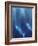 Azul Profundo Triptych I-Suzanne Wilkins-Framed Art Print