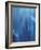 Azul Profundo Triptych II-Suzanne Wilkins-Framed Art Print