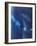 Azul Profundo Triptych III-Suzanne Wilkins-Framed Art Print