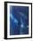 Azul Profundo Triptych III-Suzanne Wilkins-Framed Art Print