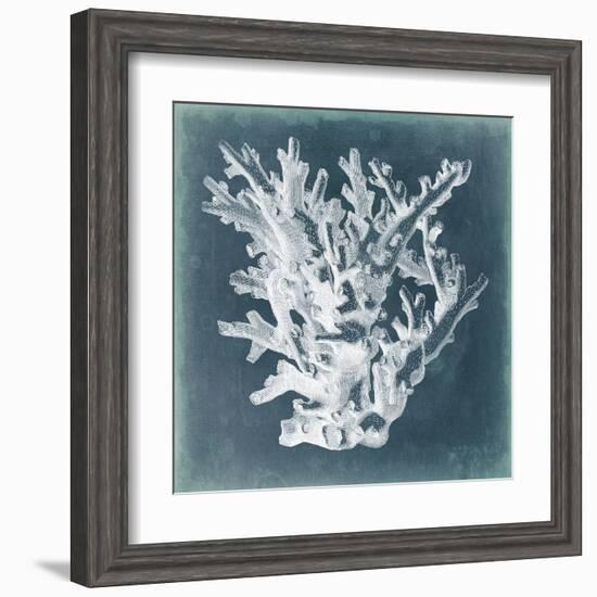 Azure Coral I-Vision Studio-Framed Art Print