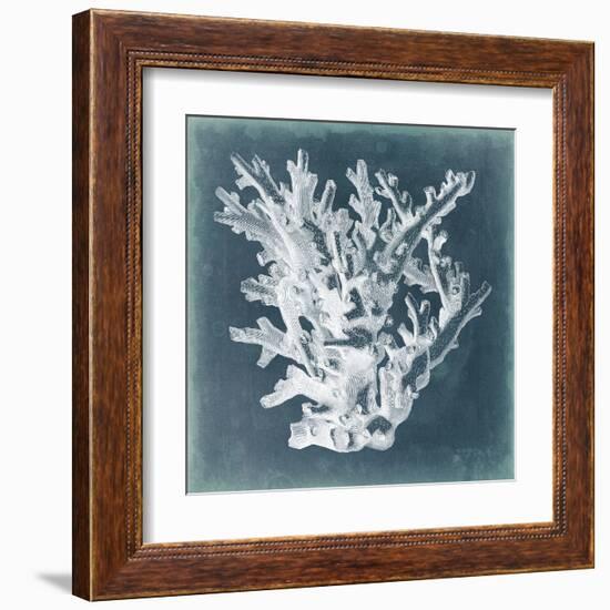 Azure Coral I-Vision Studio-Framed Art Print