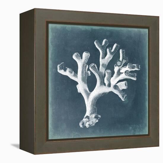 Azure Coral II-Vision Studio-Framed Stretched Canvas
