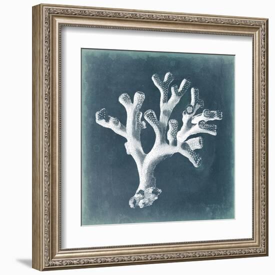 Azure Coral II-Vision Studio-Framed Art Print