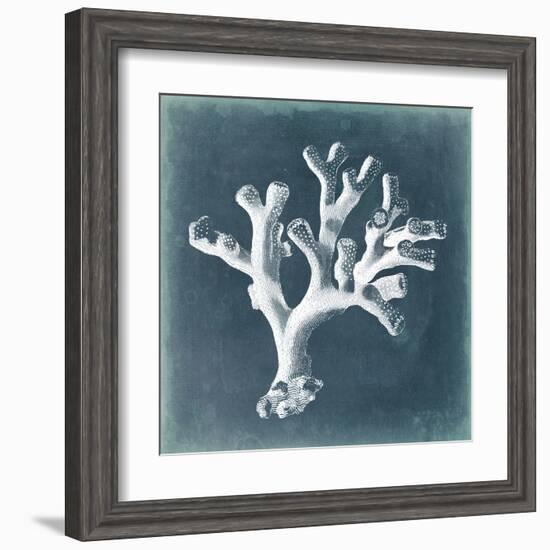 Azure Coral II-Vision Studio-Framed Art Print