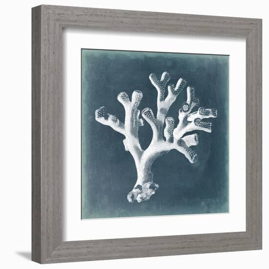 Azure Coral II-Vision Studio-Framed Art Print