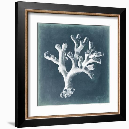 Azure Coral II-Vision Studio-Framed Art Print