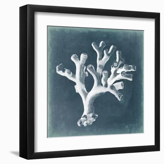 Azure Coral II-Vision Studio-Framed Art Print