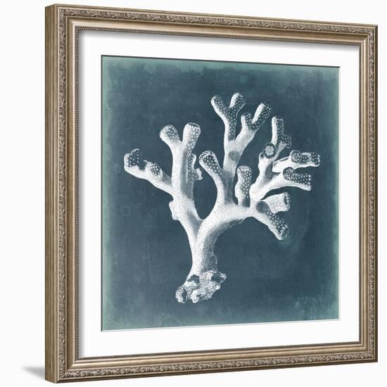 Azure Coral II-Vision Studio-Framed Art Print