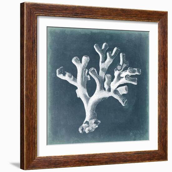 Azure Coral II-Vision Studio-Framed Art Print