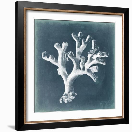 Azure Coral II-Vision Studio-Framed Art Print