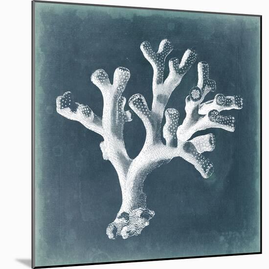 Azure Coral II-Vision Studio-Mounted Art Print