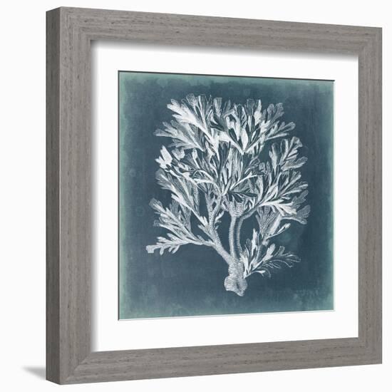 Azure Coral IV-Vision Studio-Framed Art Print