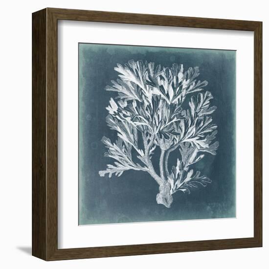 Azure Coral IV-Vision Studio-Framed Art Print