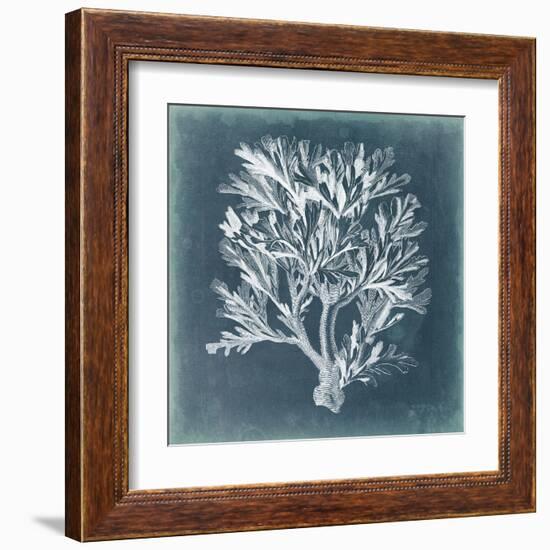 Azure Coral IV-Vision Studio-Framed Art Print