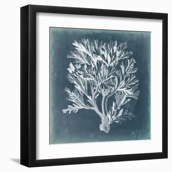 Azure Coral IV-Vision Studio-Framed Art Print
