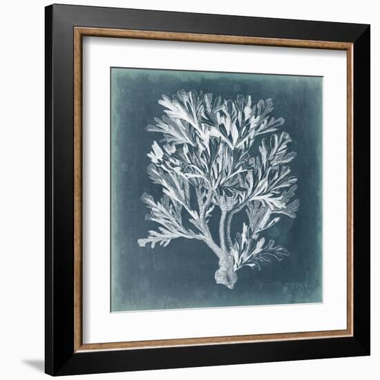 Azure Coral IV-Vision Studio-Framed Art Print