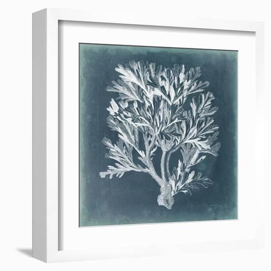 Azure Coral IV-Vision Studio-Framed Art Print