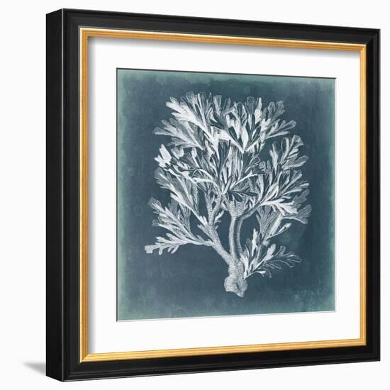 Azure Coral IV-Vision Studio-Framed Art Print