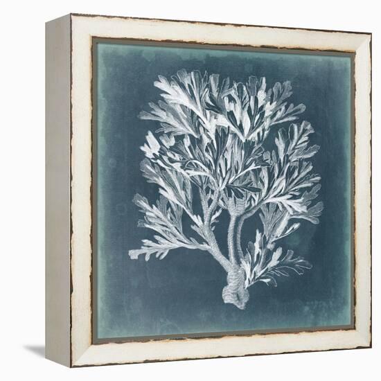 Azure Coral IV-Vision Studio-Framed Stretched Canvas