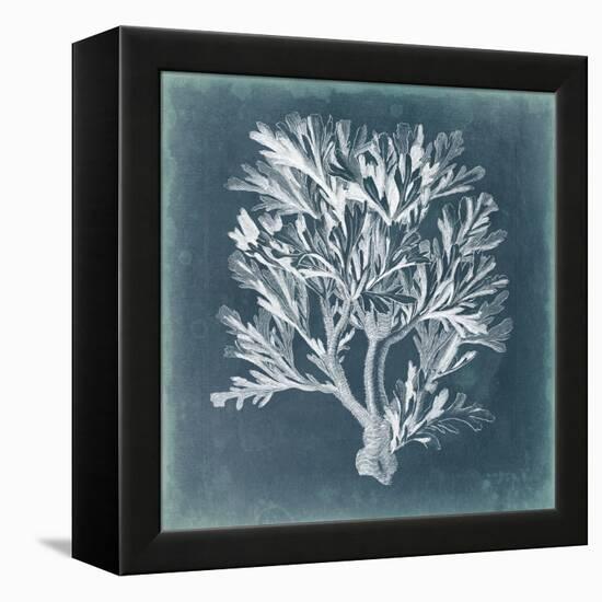 Azure Coral IV-Vision Studio-Framed Stretched Canvas