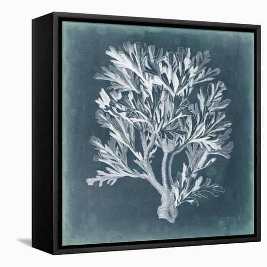 Azure Coral IV-Vision Studio-Framed Stretched Canvas