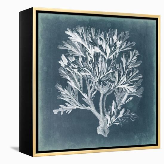 Azure Coral IV-Vision Studio-Framed Stretched Canvas