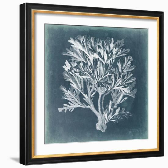 Azure Coral IV-Vision Studio-Framed Art Print