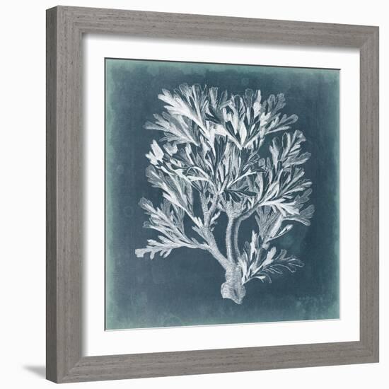 Azure Coral IV-Vision Studio-Framed Premium Giclee Print