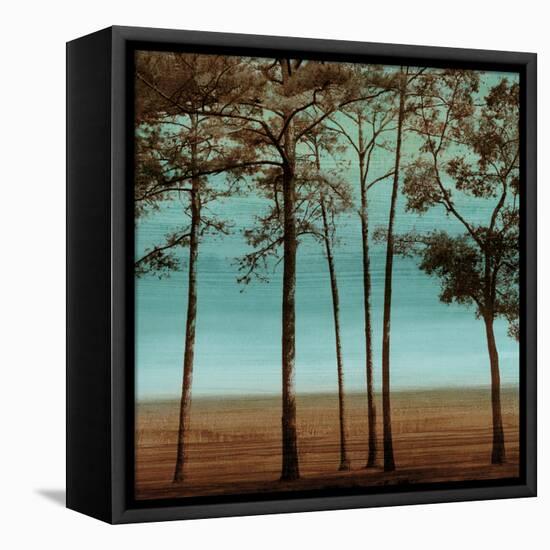 Azure I-Chris Donovan-Framed Stretched Canvas