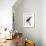 Azure Kingfisher, Ceyx Azureus-William Swainson-Framed Giclee Print displayed on a wall