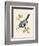 Azure Tit, Illustration from 'A History of the Birds of Europe Not Observed in the British Isles'-English-Framed Giclee Print