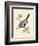 Azure Tit, Illustration from 'A History of the Birds of Europe Not Observed in the British Isles'-English-Framed Giclee Print